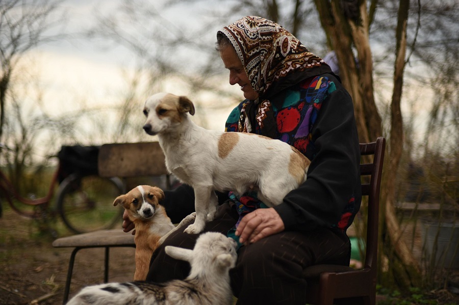 <em>Bukolika</em> w programie Hot Docs!