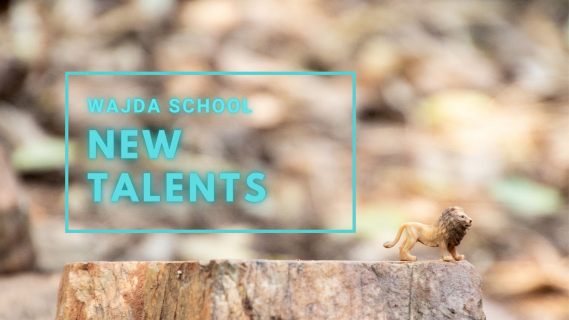 PITCHING | WAJDA SCHOOL NEW TALENTS 2021