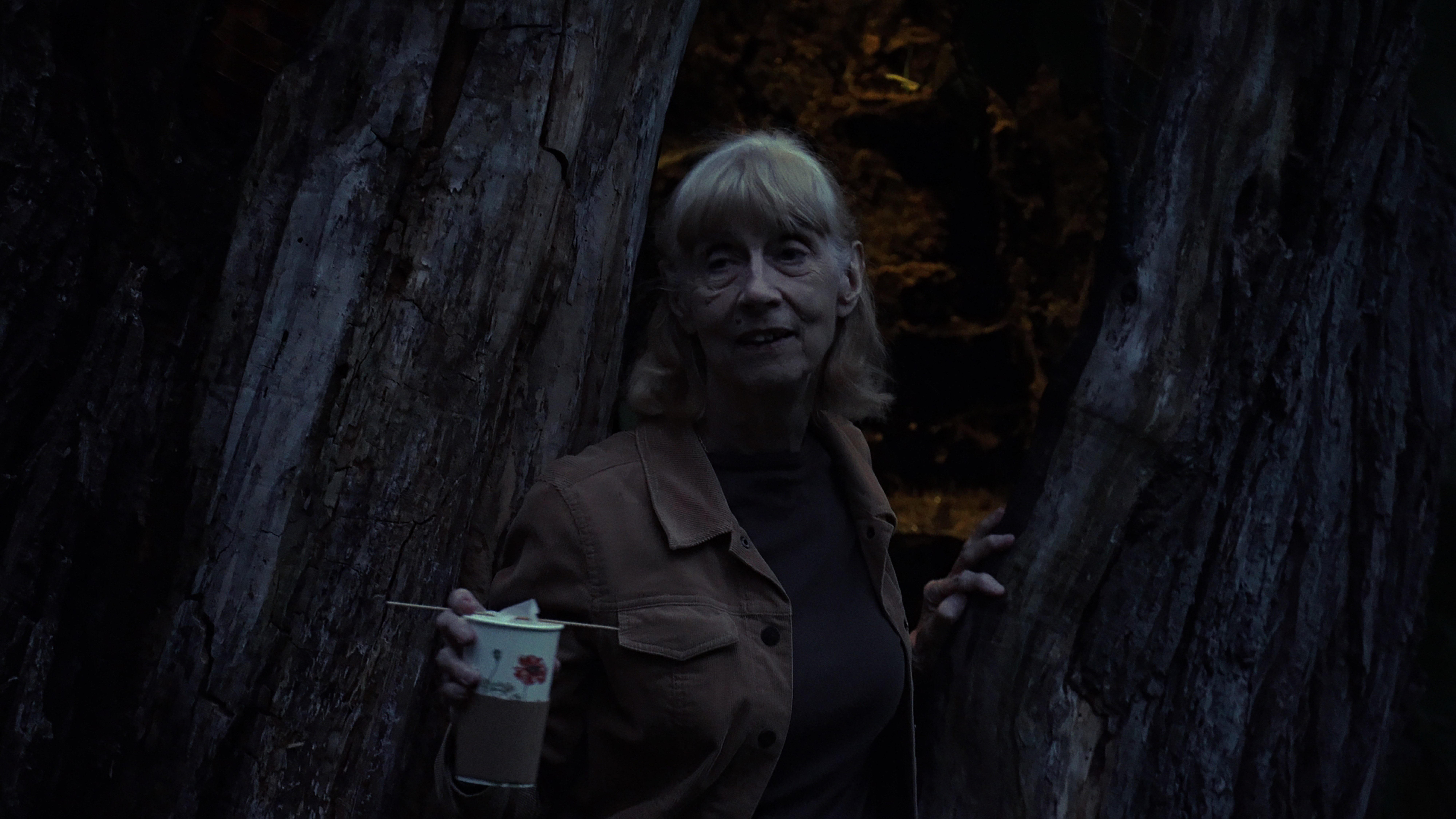 3 kolejne produkcje Wajda Studio już w drodze