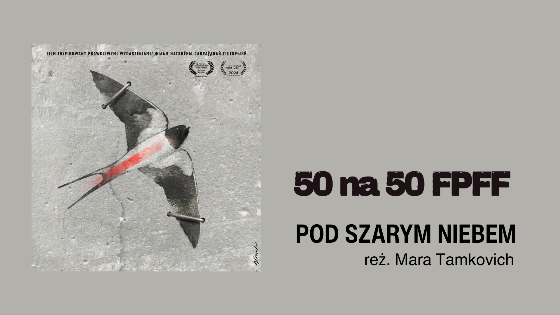 POD SZARYM NIEBEM - pokaz filmu i spotkanie z twórcami